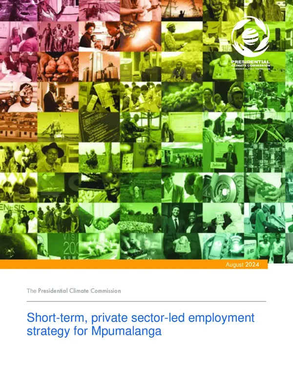 Short-term, Private Sector-Led Employment Strategy for Mpumalanga Report (PCC)