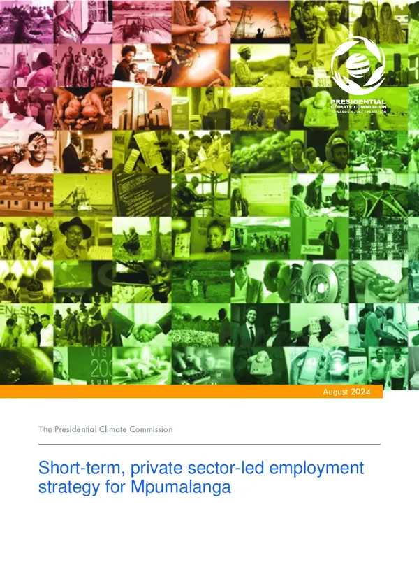 Short-term, Private Sector-Led Employment Strategy for Mpumalanga Report (PCC)