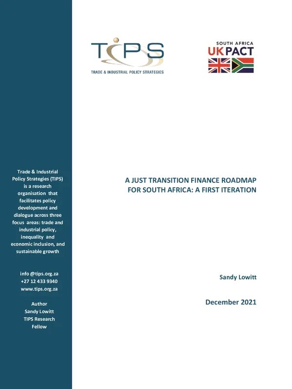 Trade & Industrial Policy Strategies (TIPS), December 2021