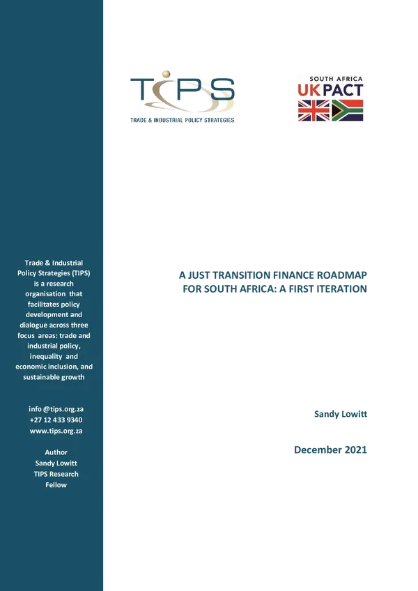 Trade & Industrial Policy Strategies (TIPS), December 2021