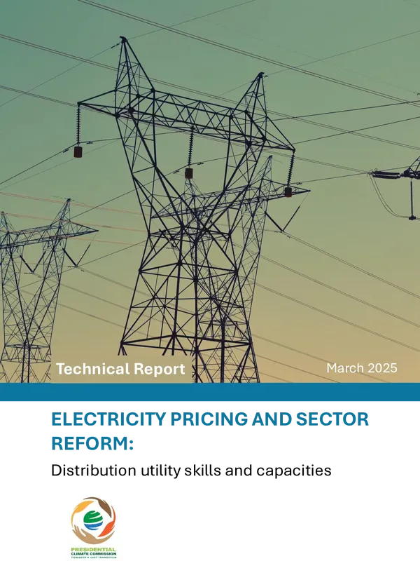 Electricity pricing and sector reform: Distribution utility skills and capacities