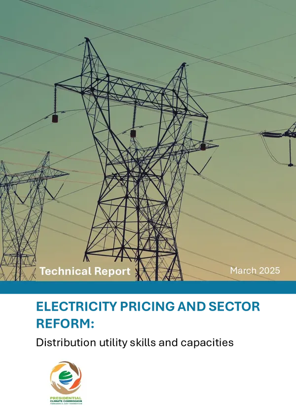 Electricity pricing and sector reform: Distribution utility skills and capacities