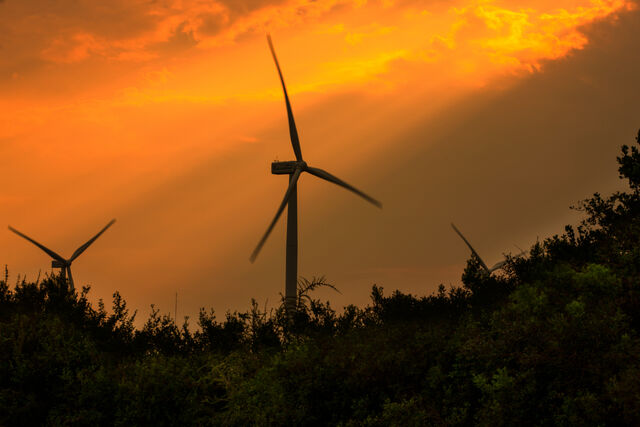 Developing Alternative Pathways