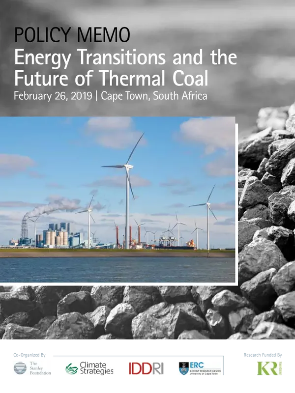 Energy Transitions and the Future of Thermal Coal