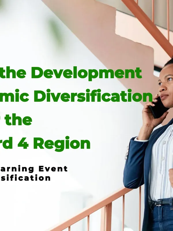 Supporting the Development of an Economic Diversification Strategy for the Komati Ward 4 Region