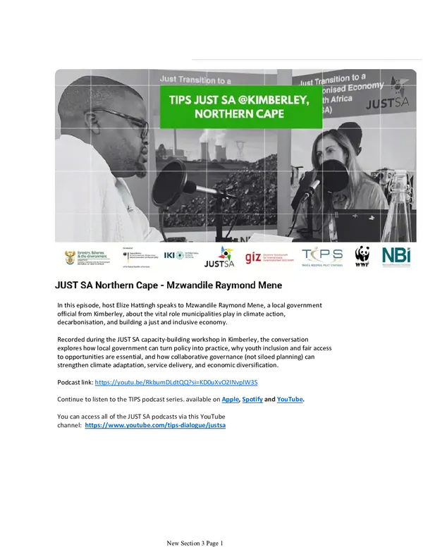 Just Transition insights from the Northern Cape: Interview with Mzwandile Raymond Mene, Kimberley Municipality