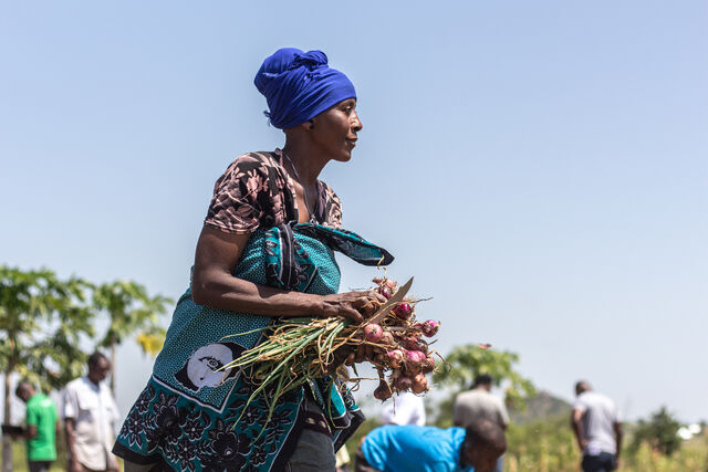 Solarirrigation Fabiana Woywod IMG 3559 3